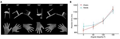 Does mental rotation emulate motor processes? An electrophysiological study of objects and body parts